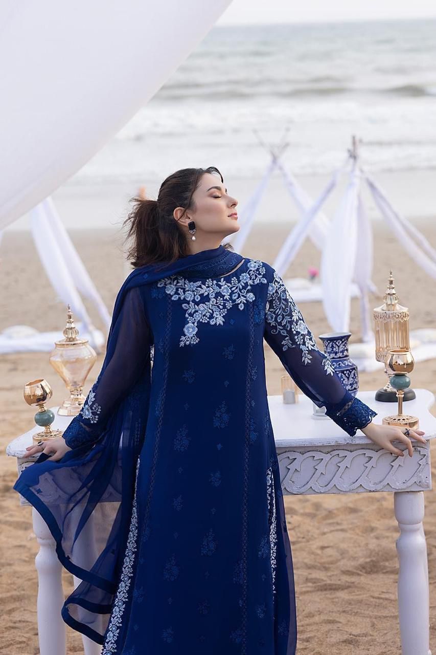 #194 Chiffon Embroidery Collection Back embroidery Daman NIN